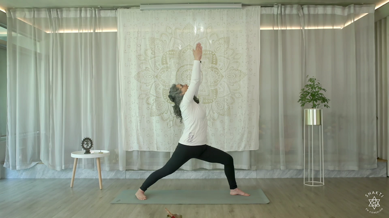 Estreno: Sistema Shakti Yoga – Desde Chile