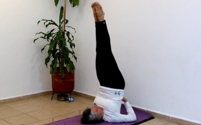 Profundización en Sarvangasana y Halasana – Padma Shakti Yoga