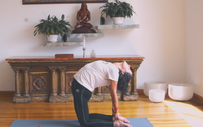 Atma Shakti Yoga – Desde la Morada del Colibrí