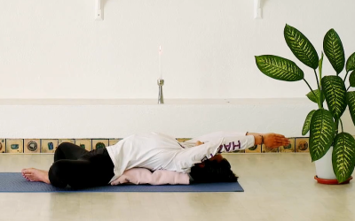 Shanti Shakti Yoga – Desde la Morada del Colibrí