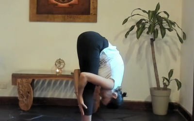 Agni Shakti Yoga – Desde Argentina