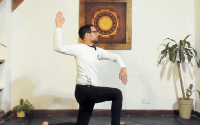 Profundización en Swastikasana – Padma Shakti Yoga