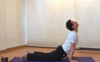 Agni Shakti Yoga – Desde Colombia
