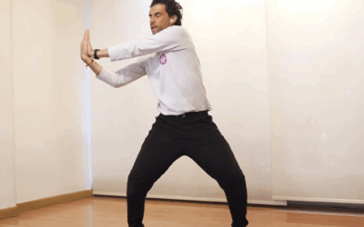 Devi – Shiva Tandava
