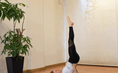 Profundización en Sarvangasana – Padma Shakti Yoga