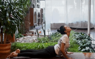 Atma Shakti Yoga – Desde Quito