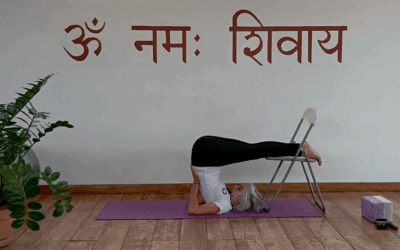Shanti Shakti Yoga – Desde Venezuela