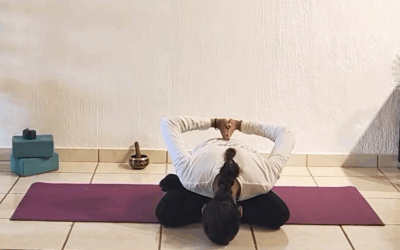 Profundización en Padmasana y YogaMudrasana – Padma Shakti Yoga